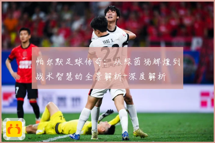 帕尔默足球传奇：从绿茵场辉煌到战术智慧的全景解析-深度解析