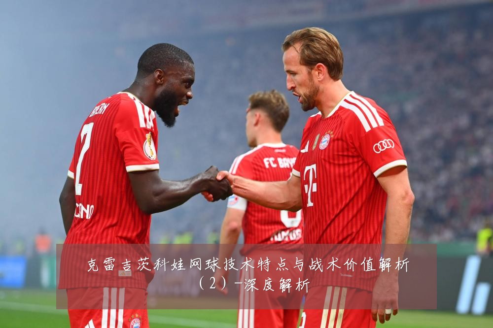 克雷吉茨科娃网球技术特点与战术价值解析（2）-深度解析